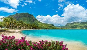 Travel guide
