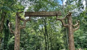 Dehing Patkai National Park