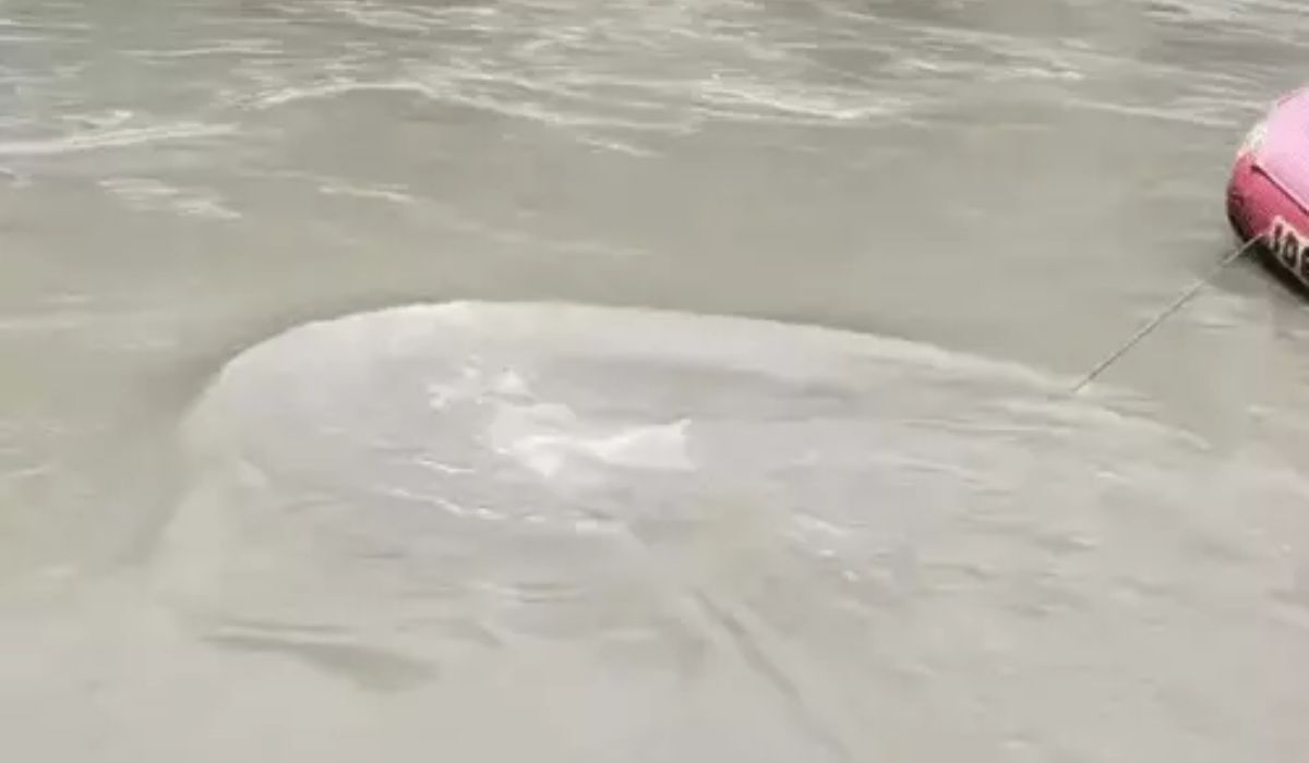 Rishikesh Drowning Incident (Credit S-M)