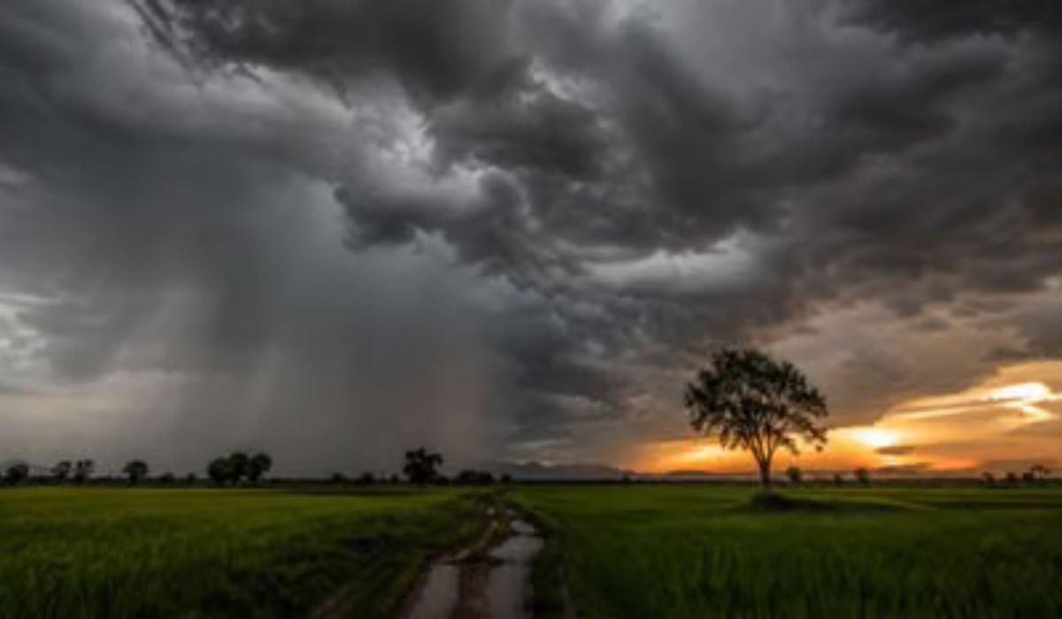 El-Nino Effect in Whole World (credit S-M)