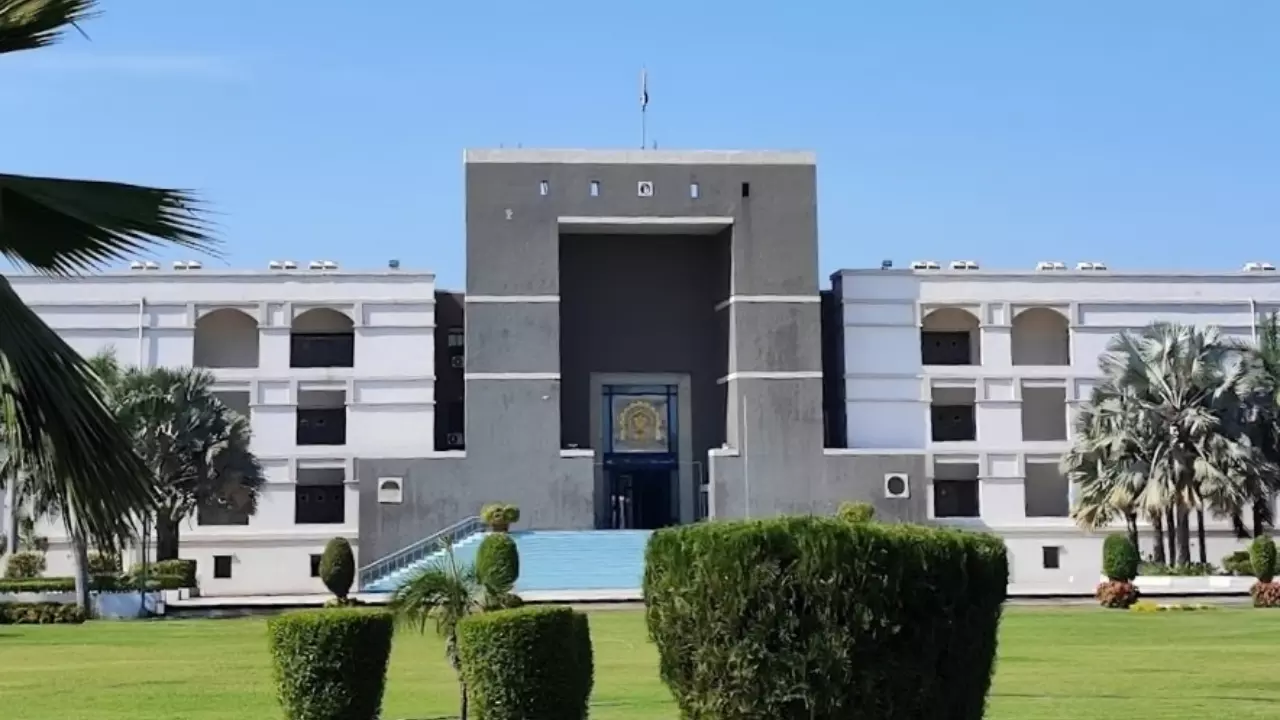 Gujarat High Court verdict (credit social media )