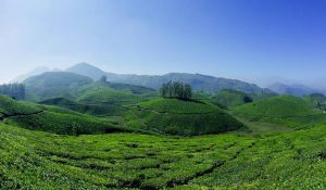 Couple Destinations in India