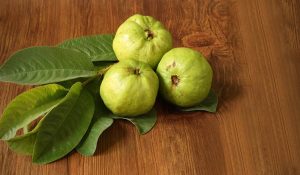 Benefits of Guava Leaf Tea
