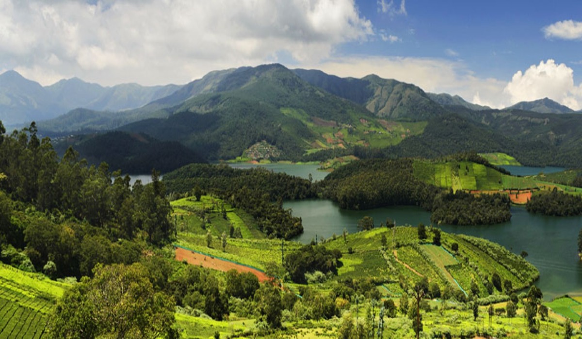 Best Forest in India