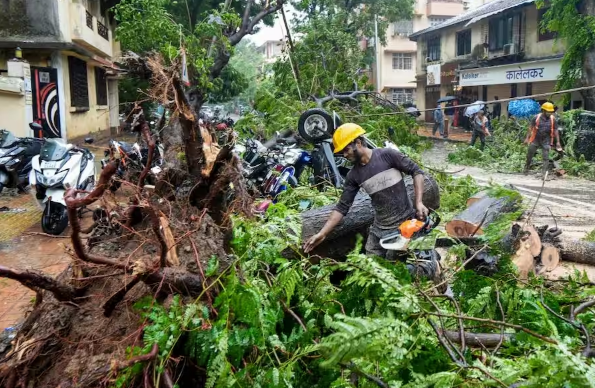 Maharashtra Heavy Rain (Source: Social Media)