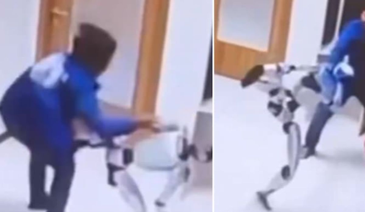Robot Human Fight (credit social media )
