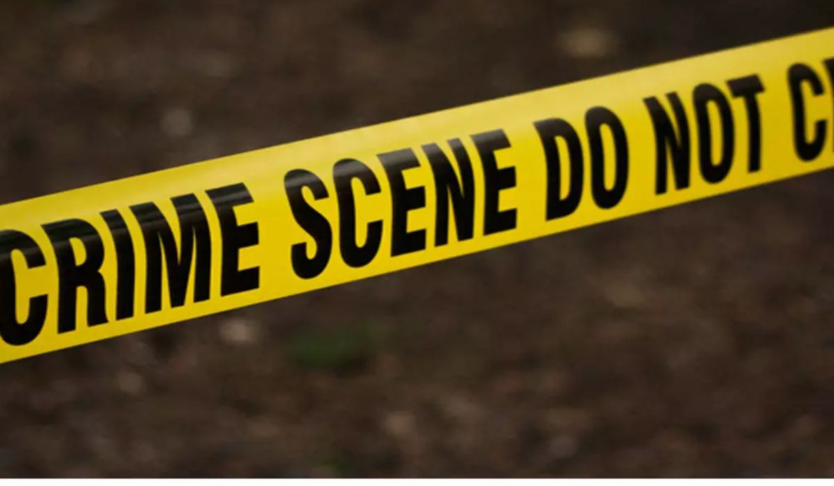 Toilet Cleaner Injection Murder (credit social media )