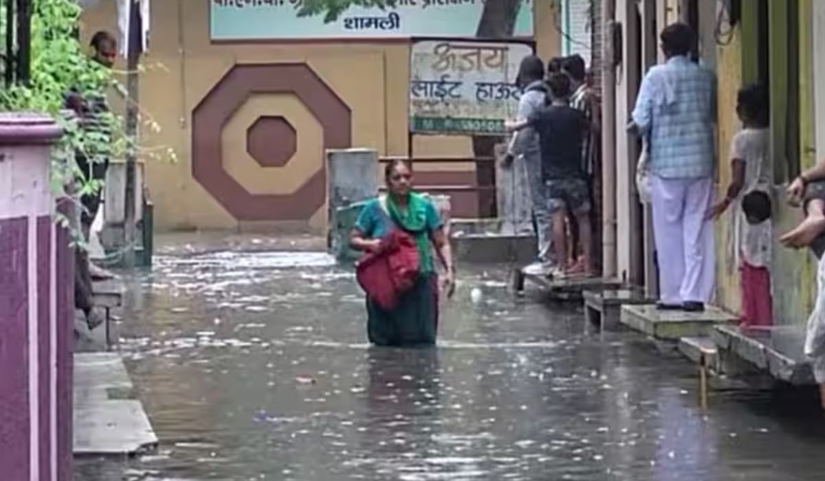 Shamli Municipality (credit social media )