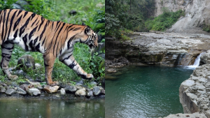 Bihar Monsoon Travel places
