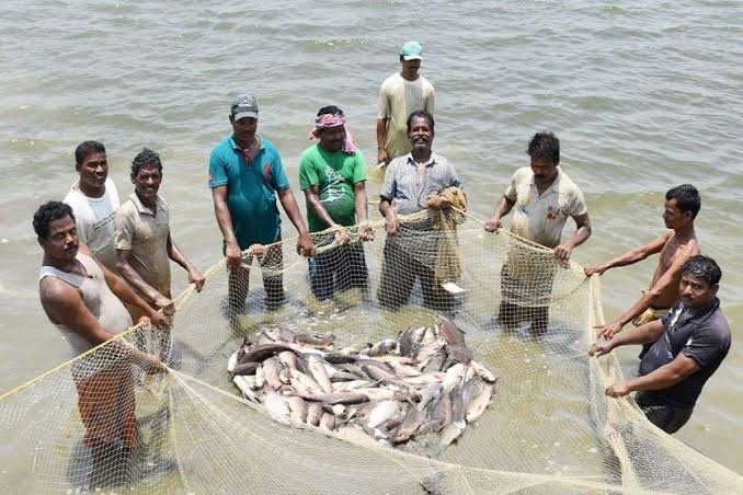 Fisheries Department Bihar