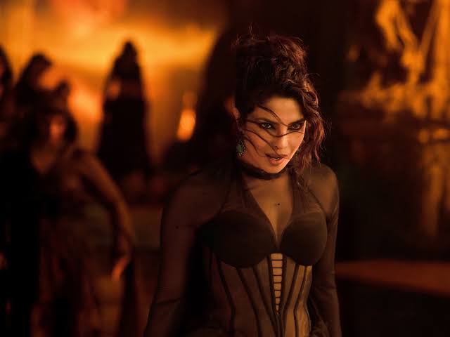  Priyanka chopra career