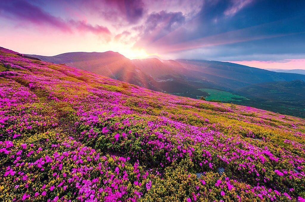 Valley of Flowers Uttarakhand (credit S-M)
