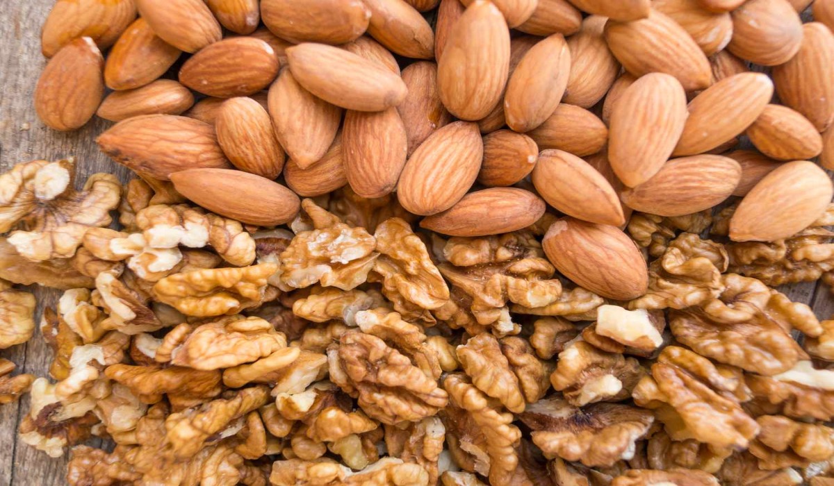  High Protein Foods