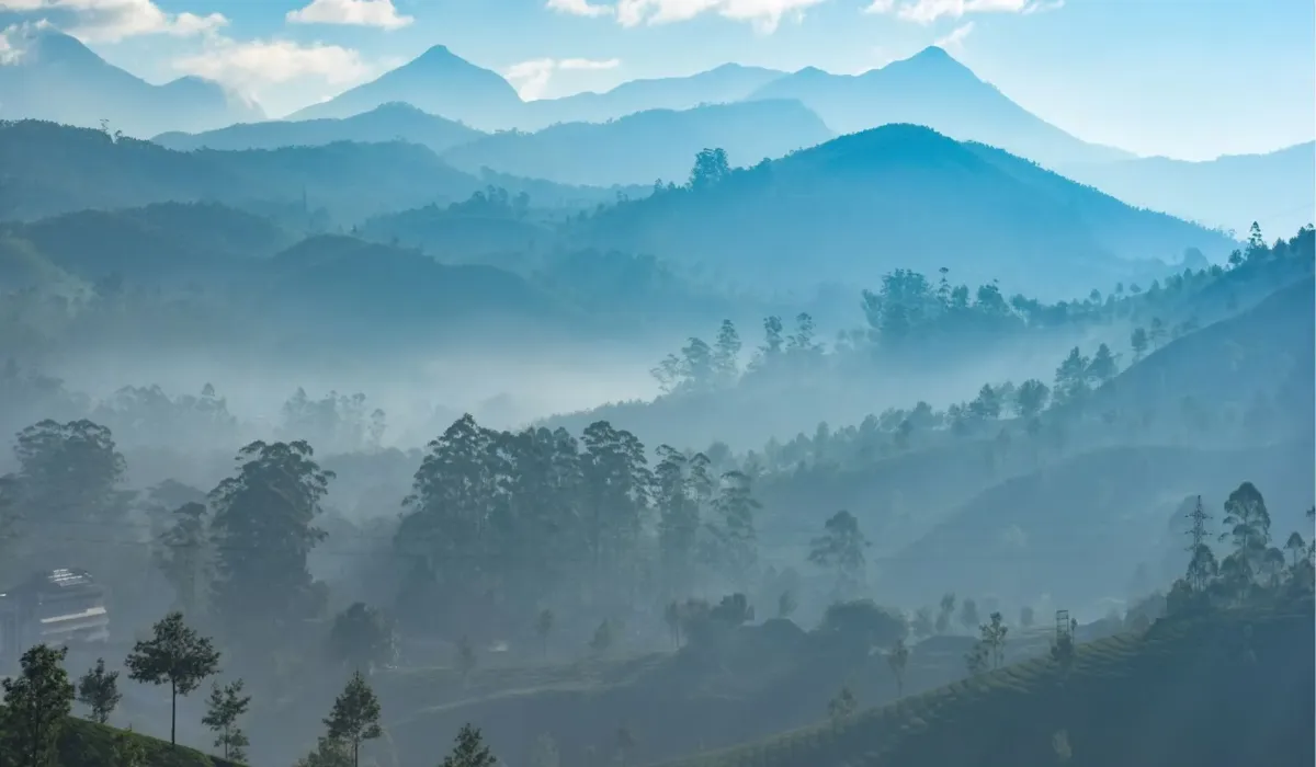 Winter Destinations for Nature Lovers