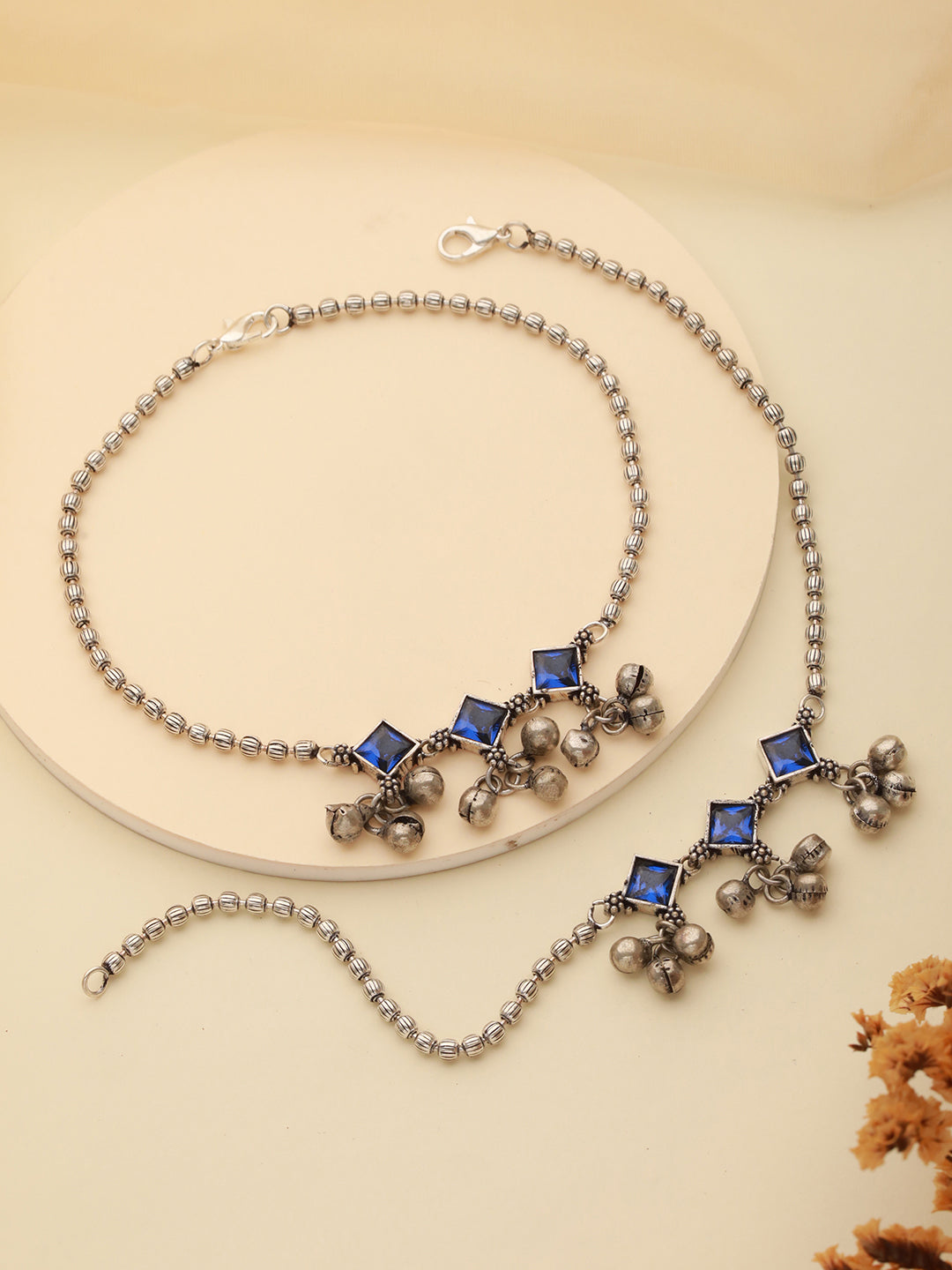 Silver Payal Designs( Source: Social Media)